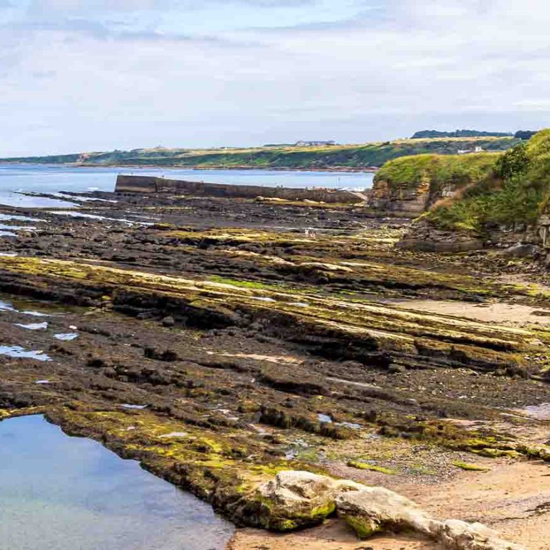 Castle Sands beach St Andrews