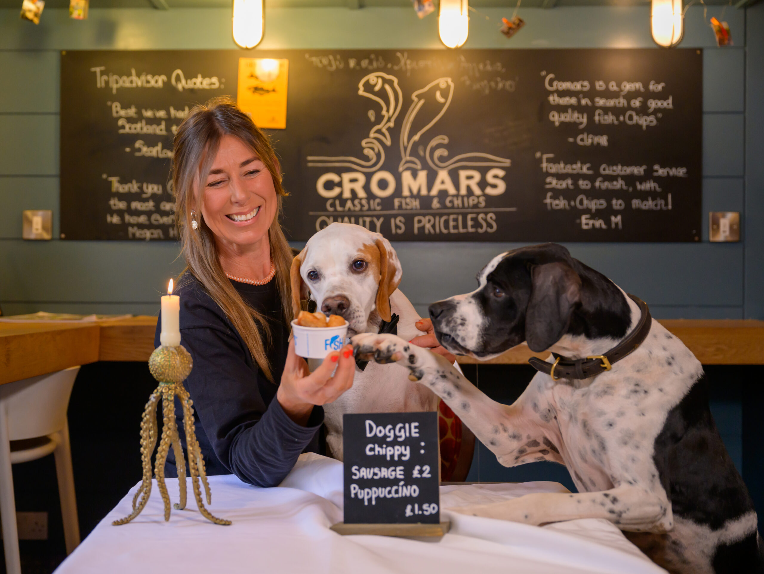 Dog Friendly Chippy